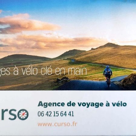 Sublime Vue Mer,Parking,Wifi Fréjus Eksteriør billede
